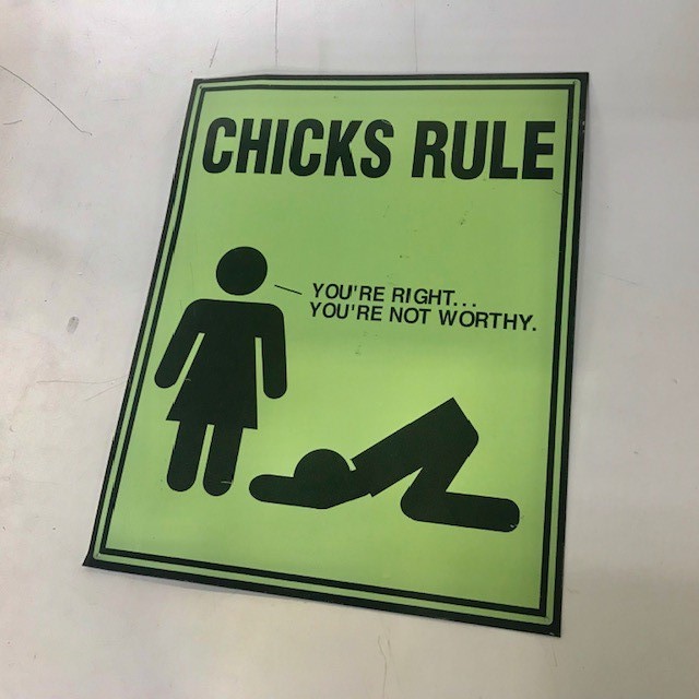 SIGN, Misc - Chicks Rule 30 x 38cm 